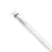 Philips Master LED Buis T8 (EM/Mains) High Output T8 16.7W 3100lm - 865 Daglicht | 150cm - Vervangt 58W